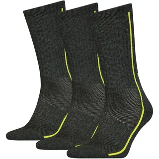 Head 3er Pack Performance Crew Socken Grau 35-38