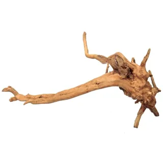 BBTISG Natürliches Treibholz für Aquarium Dekoration 15–20cm Landschaft Natürliches Treibholz Aquarium Holz Baumwurzel Dekoration