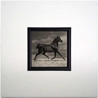 Mini Kunstdruck auf Papier (Poster) "Schwarzes Pferd", mit Rahmen aus Holz und weißem Eco-Leder, ohne Glas, 40x40x1.5 cm, ErgoPaul, IGP5285-E1-80BI10-40x40x1.5