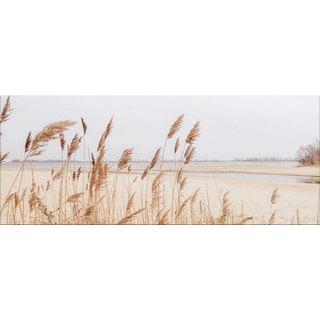 artissimo Glasbild Glasbild XXL 125x50 cm Bild aus Glas groß Strand Pampas-Gras Natur, Strand und Meer: Strandgräser beige