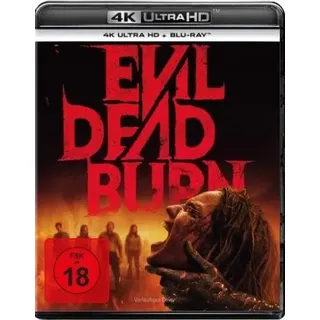 Sony Evil Dead Burn (4K-UHD+Blu-ray)