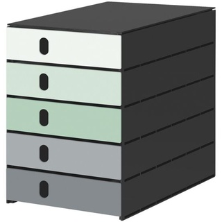 Schubladenbox »styroval pro Emotions« 5 Schubladen Frühling, Styro, 23x4.9x32.7 cm
