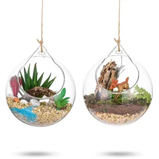Glasseam Hängende Glaskugel Vase, Sukkulenten Aufhängen Terrarium