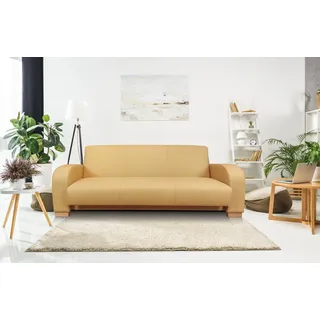 Echtleder Sofa Couch mit Schlaffunktion Bettkasten Leder Naturleder Farbauswahl