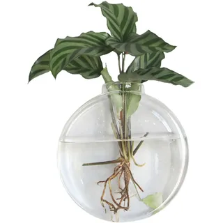 Hängende Wandvase – Hydroponik Aus Robustem Borosilikatglas – Sechseckig, 17 X 17 Cm