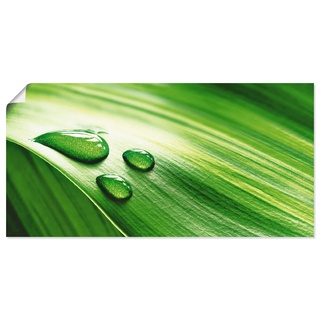 Wandbild ARTLAND "Nahaufnahme eines grünen Pflanzenblattes" Bilder Gr. B/H: 60 cm x 30 cm, Poster, grün Bild Poster Bilder als Leinwandbild, Wandaufkleber oder in versch. Größen