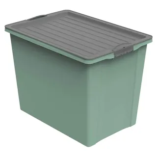 Rotho Aufbewahrungsbox Compact 57 x 39,5 x 43,5 cm 1-tlg. grün
