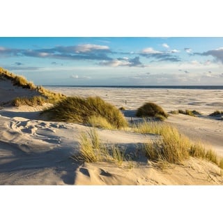 Papermoon Fototapete DÜNEN-AMRUM NORDSEE STRAND MEER INSEL HOLSTEIN GRAS XXL, samtig, Vliestapete, hochwertiger Digitaldruck, inklusive Kleister bunt 5,00 m x 2,80 m