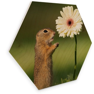 Holzbild WALL-ART "Eichhörnchen Blumen" Bilder Gr. B/H/T: 75 cm x 1 cm x 65 cm, -, 1 St., bunt (mehrfarbig) Holzbilder