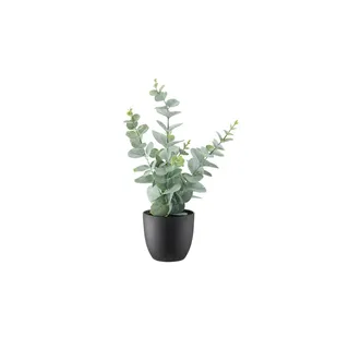 Möbel Kraft Eukalyptus getopft ¦ grün ¦ Kunststoff ¦ Maße (cm): H: 38