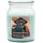 fragrance and style gmbh Cashmere Breeze Duftkerze 510 g grün