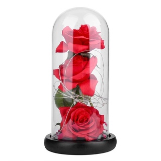 Die Schöne und das Biest Rose LED Hellrote Seidenrose mit Blütenblatt in Glaskuppel auf Holzbasis Warmweiß für Muttertag Valentinstag Jubiläums-Dating-Dekoration