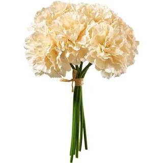 Nelke Bund 26cm x6 creme