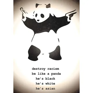Banksy Destroy Racism Panda Poster Kleinformat Plakat 39,5 x 55 cm