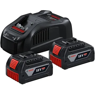 Bosch Professional Akku-Starterset 1600A00B8J inkl. 2 x 5,0 Ah Akku + Ladegerät