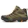 GTX Herren Olive 48