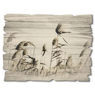 ARTland Wanddeko Bild aus Holz Holzbild vintage Deko 40x30 cm Querformat Natur Gräser Botanik Feld Sepia Frühling Landhaussstil T3MG