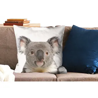 MuchoWow Dekokissen Koala - Koala Bär - Mädchen - Jungen - Tiere, Kissenbezug ohne Füllung, Kissenhüllen, 60x60 cm bunt 60 cm x 15 cm x 60 cm