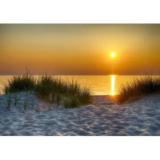 Forwall - Vlies Fototapete Sonnenuntergang Strand Meer Nordsee Natur Dünen 368x254 cm - Fototapeten - Tapeten - für Wohnzimmer Schlafzimmer - Vliestapete Wandtapete Tapete 3D Effekt- inkl. Kleister