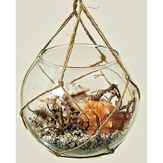 Hänge-Deko Ginsa, Maritime Hängeampel aus Glas mit Muscheln, aufgehängt an Kordel, Maße: Höhe 10 cm, Durchmesser 12 cm; Kordellänge: ca. 22 cm, Modell:große Muscheln