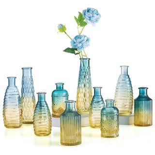 Kleine Vasen Set Bunte Glasvase: Hewory 10er Kleine Vasen für Tischdeko, Blau Vase Glas Glasflaschen Vintage Blumenvase, Verschiedene Groessen Vasen Deko Mini Vasen für Deko Wohnzimmer Room Decor