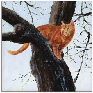Artland Wandbild Katze im Baum, Haustiere (1 St), als Leinwandbild, Poster in verschied. Größen braun 40 cm x 40 cm