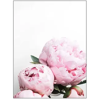 OYFFL Poster Rosa Pfingstrose Blumendruck Malerei Wandbild Moderne Wohnzimmer Dekoration Leinwanddruck Wandkunst Foto Kunst Blume Nordischen Stil (1,30x40cm ohne Rahmen)
