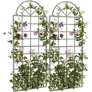 CLP Rankgitter Viva 2er Set 60 x 30 cm Grün