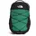 Forest Olive/TNF Black