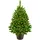 LED 60 cm