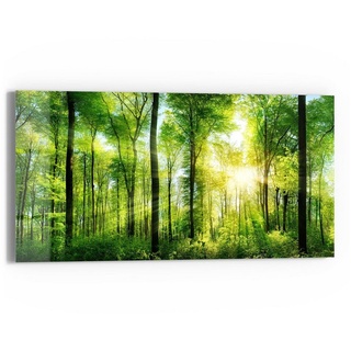 DEQORI Glasbild 'Sonne durchbricht Wald', 'Sonne durchbricht Wald', Glas Wandbild Bild schwebend modern grün