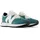 New Spruce 44