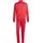 Herren Sportswear Basic 3 Stripes Tricot Tracksuit