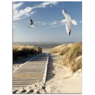 ARTland Wanddeko Glasbilder Wandbild Glas Bild einteilig 45x60 cm Hochformat Strand Meer Nordsee Küste Möwen Himmel Steg Natur Landschaft Dünen T9NJ