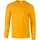 gold XL