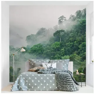 Bilderdepot24 Fototapete Wald Dschungel Nebel Natur Landschaft Waldtapete Bäume, Glatt, Matt, (Vliestapete inkl. Kleister oder selbstklebend), Wohnzimmer Schlafzimmer Küche Flur Motivtapete Vliestapete Wandtapete grün 0.96 m x 0.96 m