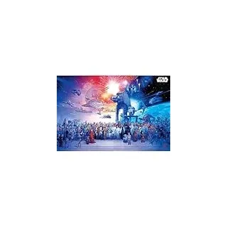Star Wars Maxi-Poster (Universum-Design), 61 x 91,5 cm, offizieller Merchandise-Artikel