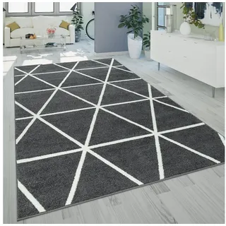 Paco Home Stella 401 Kurzflorteppich 60 x 100 cm Grau/Silber