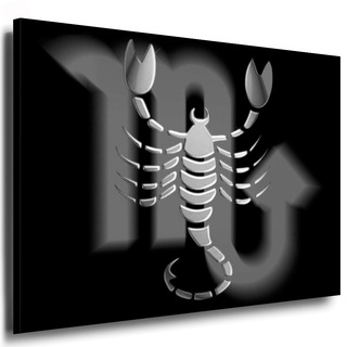 Kunstdruck"Sternzeichen Skorpion" Horoskop Zeichen/Bild 100x70cm / Leinwandbild fertig auf Keilrahmen/Leinwandbilder, Wandbilder, Poster, Pop Art Gemälde, Kunst - Deko Bilder