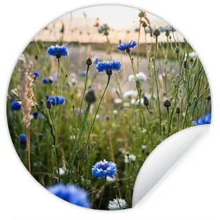 MuchoWow Wandsticker Blumen - Sommer - Kornblume - Blau - Sonne - Wolken (1 St), Wanddeko Wohnzimmer Schlafzimmer Wandverkleidung, 50x50 cm bunt 50 cm x 50 cm x 0.1 cm