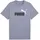 Puma Essentials 2 COLOR No Logo T-Shirt XL gray sky