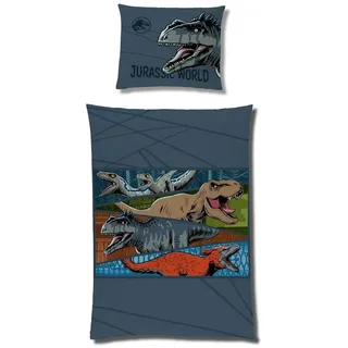 Familando Kinderbettwäsche Jurassic World Dinosaurier 135x200 80x80 cm Fleece-Bettwäsche, Microfaser-Flanell, 2 teilig, mit Reißverschluss, extra flauschig blau