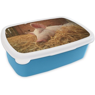 MuchoWow Lunchbox Schwein - Stroh - Tier, Kunststoff, (2-tlg), Brotdose für kindergarten, Vesperbox, Snackbox, Brotbox, Jungen blau