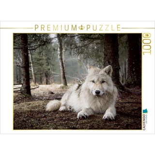 CALVENDO Puzzle CALVENDO Puzzle weißer Wolf 1000 Teile Lege-Größe 64 x 48 cm Foto-Puzzle Bild von Arnaud, 1000 Puzzleteile