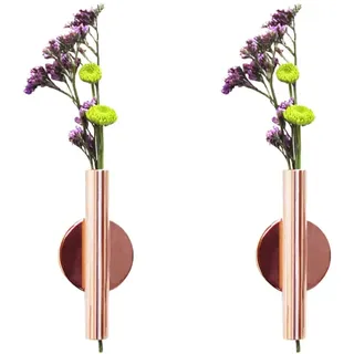 Garneck 2 STK Hydroponische Büro Blumenvase Wandvase Aus Metall Wandmontierte Miniröhre Blumentopf Aus Eisen Kreative Blumenvase Metallvase Blumenrohr Mini-röhre Getrocknete Blumen