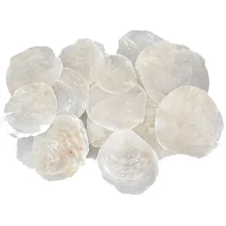 25 STK Perlmutt Scheiben Capiz Perlmuttscheiben Natur Weiss 7-11cm TISCHKARTEN Namenskarten Muschelscheiben runde Perlmuttplatten Maritime Deko Anker Strandhochzeit Camar Muscheln