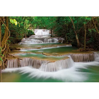 Papermoon Deep Forest Waterfall 350 x 260 cm Vlies