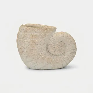 Dekorative Muschelvase Aus Mgo In Shell Sand A