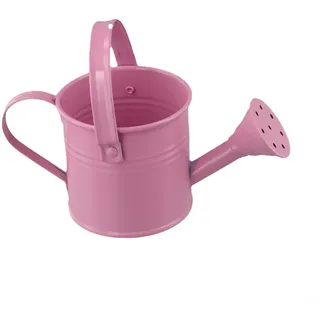 Gdfnmogo Kleine Gießkanne aus Metall mit langem Auslauf, auslaufsicher, für den Innenbereich, Mini-Gartenschlauch-Alternative für Sukkulenten, Blumen und Balkonbegrünung (Rosa)
