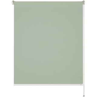 Schöner Wohnen Tageslicht-Rollo Tizia 100 cm x 150 cm Grün